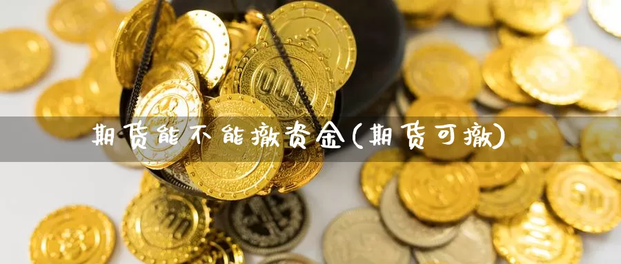 期货能不能撤资金(期货可撤)_https://www.jyxxd.com_外盘期货行情_第1张