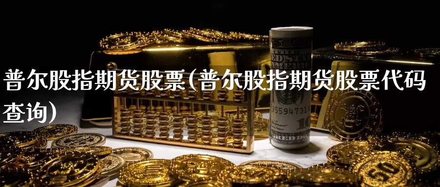 普尔股指期货股票(普尔股指期货股票代码查询)_https://www.jyxxd.com_外盘期货直播室_第1张