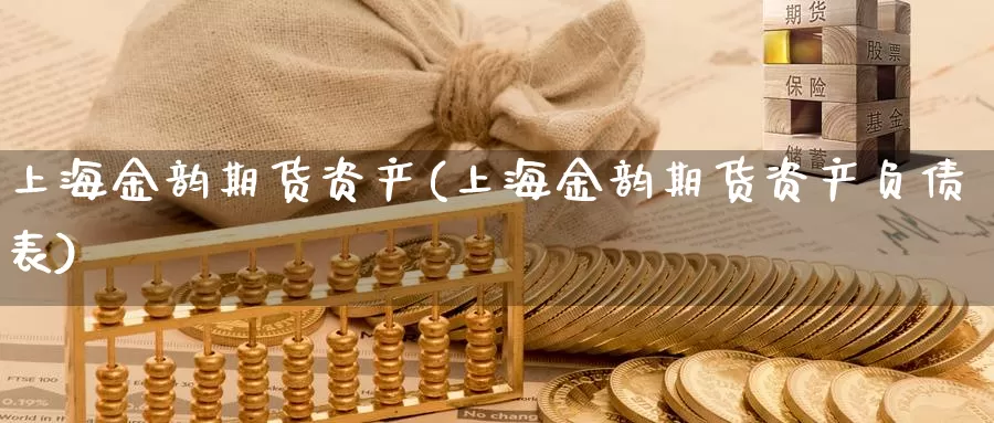 上海金韵期货资产(上海金韵期货资产负债表)_https://www.jyxxd.com_外盘期货行情_第1张