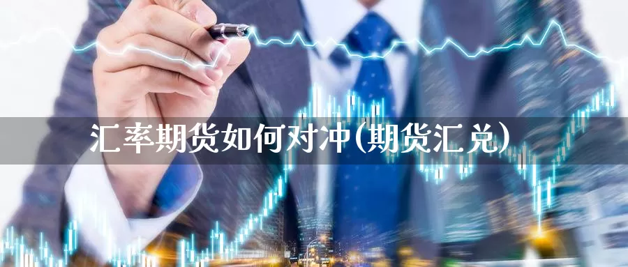 汇率期货如何对冲(期货汇兑)_https://www.jyxxd.com_外盘期货行情_第1张