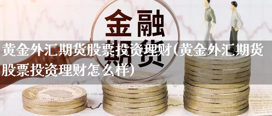 黄金外汇期货股票投资理财(黄金外汇期货股票投资理财怎么样)_https://www.jyxxd.com_外盘期货直播室_第1张