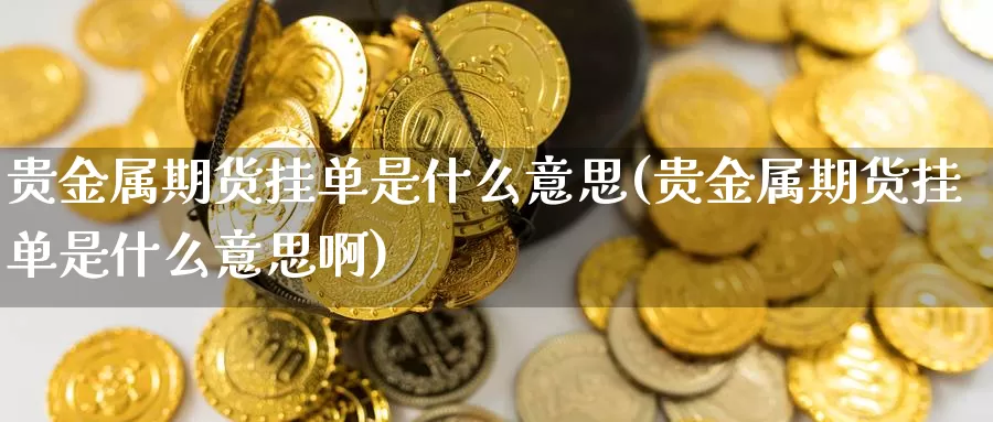 贵金属期货挂单是什么意思(贵金属期货挂单是什么意思啊)_https://www.jyxxd.com_外盘期货行情_第1张