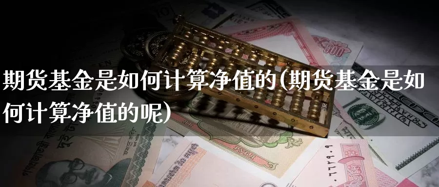 期货基金是如何计算净值的(期货基金是如何计算净值的呢)_https://www.jyxxd.com_外盘期货行情_第1张