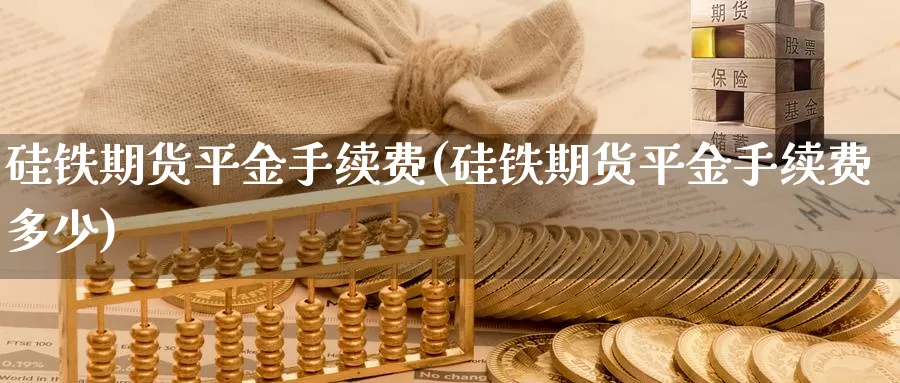 硅铁期货平金手续费(硅铁期货平金手续费多少)_https://www.jyxxd.com_外盘期货直播室_第1张