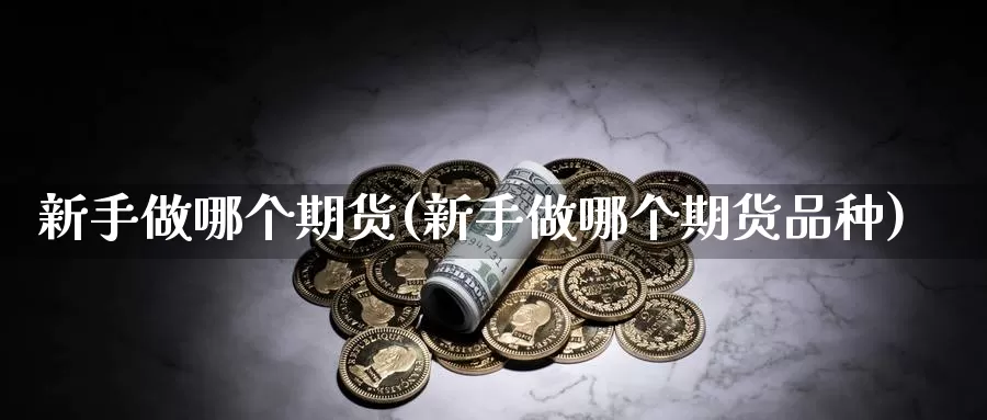 新手做哪个期货(新手做哪个期货品种)_https://www.jyxxd.com_外盘期货直播室_第1张