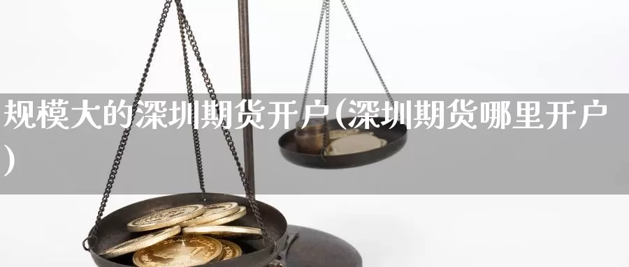 规模大的深圳期货开户(深圳期货哪里开户)_https://www.jyxxd.com_外盘期货行情_第1张