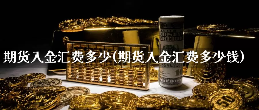 期货入金汇费多少(期货入金汇费多少钱)_https://www.jyxxd.com_外盘期货直播室_第1张