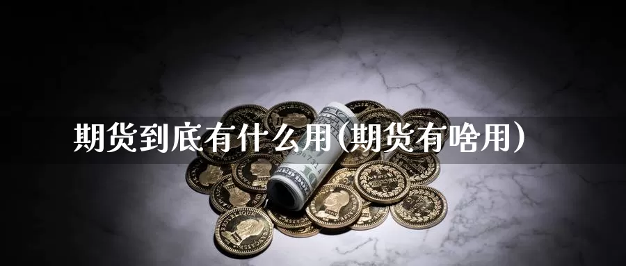 期货到底有什么用(期货有啥用)_https://www.jyxxd.com_外盘期货直播室_第1张