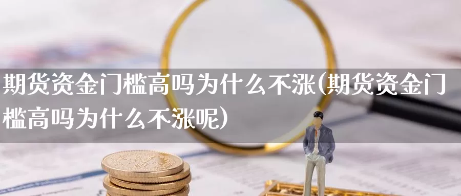 期货资金门槛高吗为什么不涨(期货资金门槛高吗为什么不涨呢)_https://www.jyxxd.com_外盘期货直播室_第1张