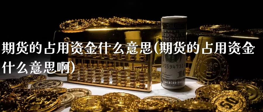 期货的占用资金什么意思(期货的占用资金什么意思啊)_https://www.jyxxd.com_外盘期货直播室_第1张