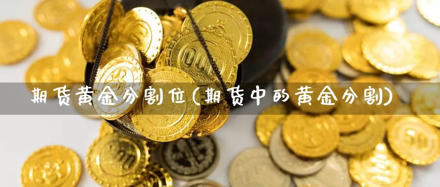 期货黄金分割位(期货中的黄金分割)_https://www.jyxxd.com_金融期货_第1张