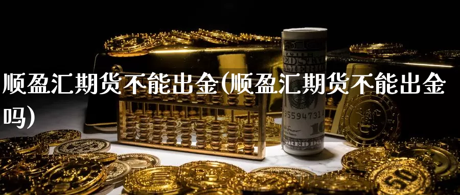 顺盈汇期货不能出金(顺盈汇期货不能出金吗)_https://www.jyxxd.com_外盘期货行情_第1张