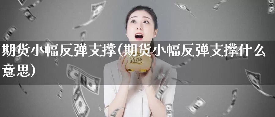 期货小幅反弹支撑(期货小幅反弹支撑什么意思)_https://www.jyxxd.com_外盘期货行情_第1张