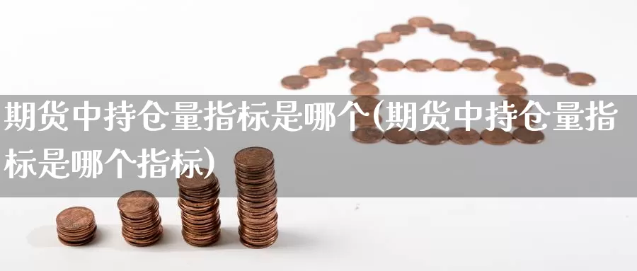 期货中持仓量指标是哪个(期货中持仓量指标是哪个指标)_https://www.jyxxd.com_金融期货_第1张