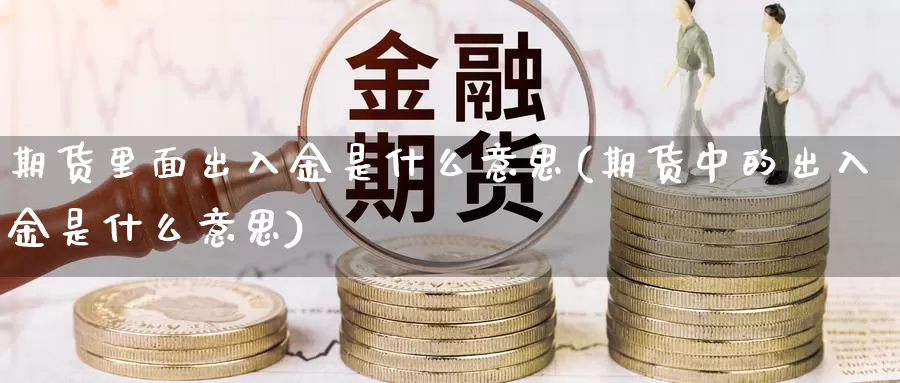 期货里面出入金是什么意思(期货中的出入金是什么意思)_https://www.jyxxd.com_期货教程_第1张