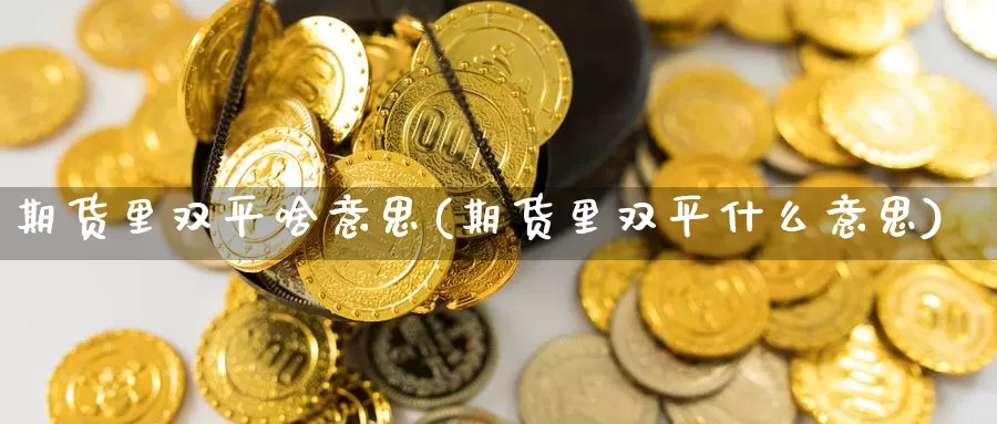 期货里双平啥意思(期货里双平什么意思)_https://www.jyxxd.com_期货教程_第1张