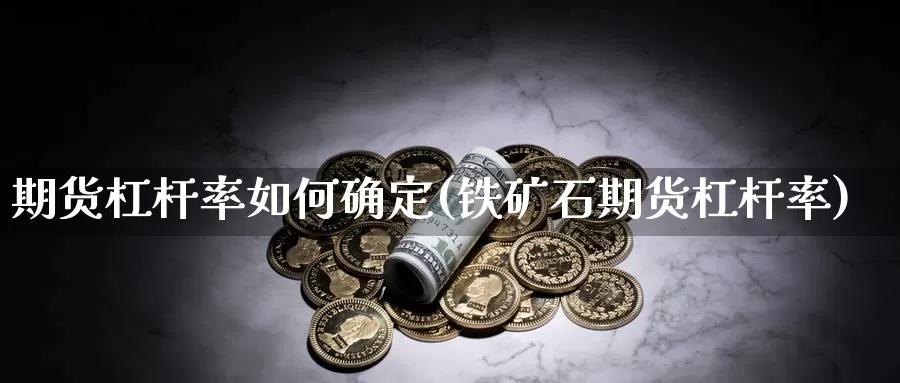 期货杠杆率如何确定(铁矿石期货杠杆率)_https://www.jyxxd.com_金融期货_第1张