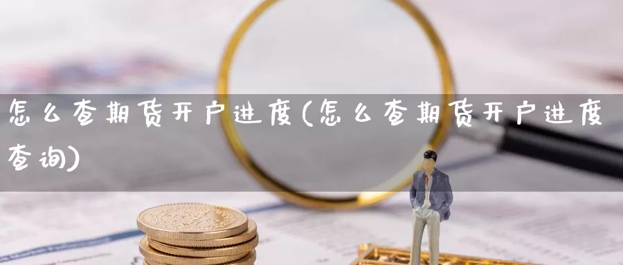 怎么查期货开户进度(怎么查期货开户进度查询)_https://www.jyxxd.com_金融期货_第1张